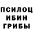 Псилоцибиновые грибы мицелий Roma Kulakovi