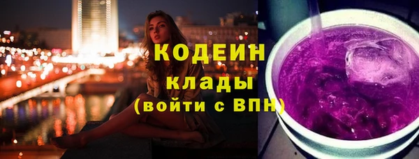 прущие грибы Гусь-Хрустальный