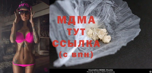 индика Гусиноозёрск