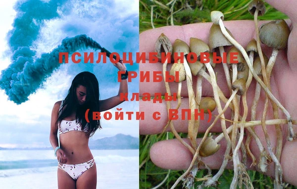 марихуана Гусев