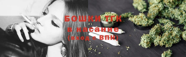 прущие грибы Гусь-Хрустальный