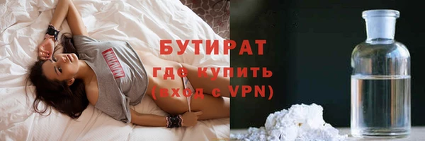 индика Гусиноозёрск