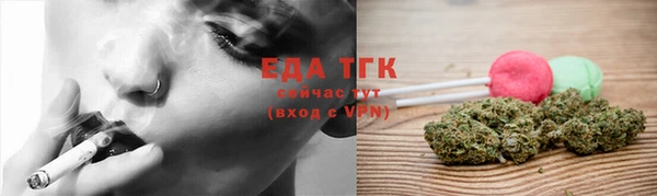индика Гусиноозёрск