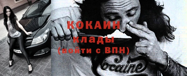 прущие грибы Гусь-Хрустальный