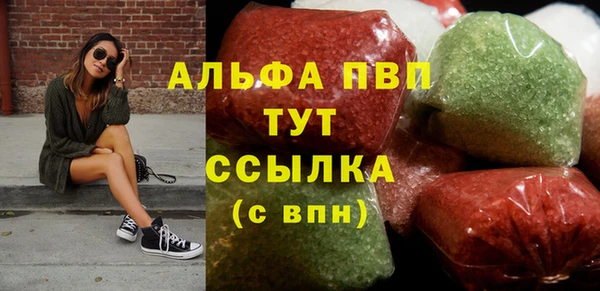 индика Гусиноозёрск