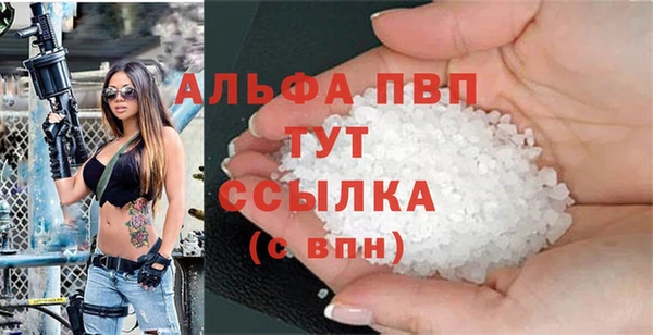 индика Гусиноозёрск