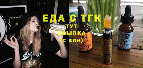 индика Гусиноозёрск