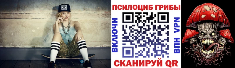Галлюциногенные грибы Magic Shrooms  цена   Чапаевск 